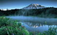 Chicago Web Design from Walton Street Web Design