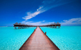 Chicago Web Design from Walton Street Web Design