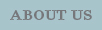 About Walton Street Web Design