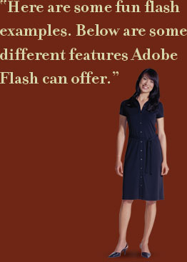 Chicago Web Design from Walton Street Web Design